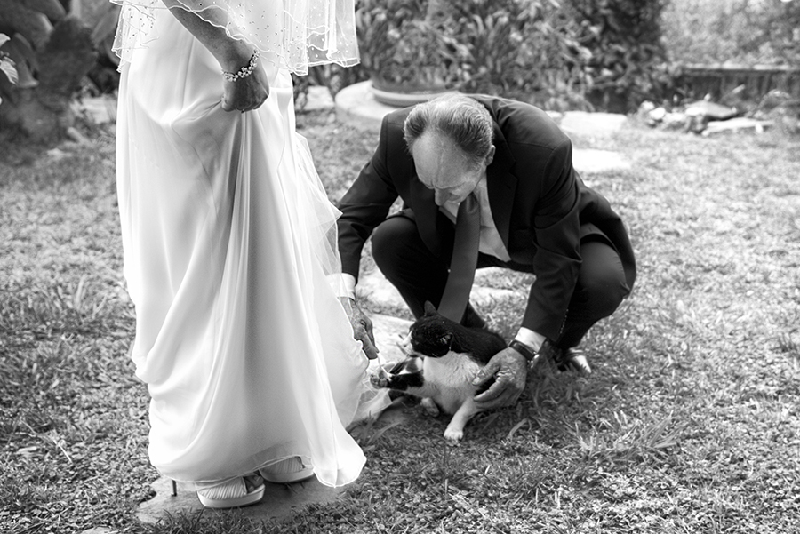 wedding-dog05